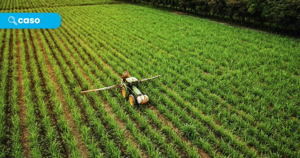 La cosecha del futuro – Lean aplicado en el Agro negocio