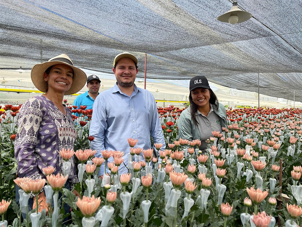 Agronegocio sectores