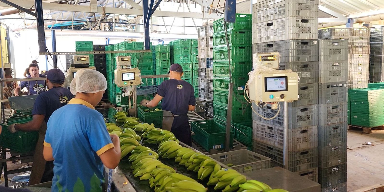 banner People centric intelligent decentralized management