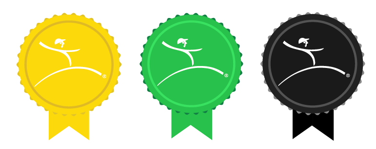 medallas programa learn management